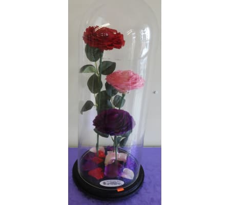 ENCHANTED ROSE MIX TRIO