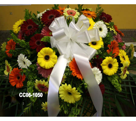 CC06-1050