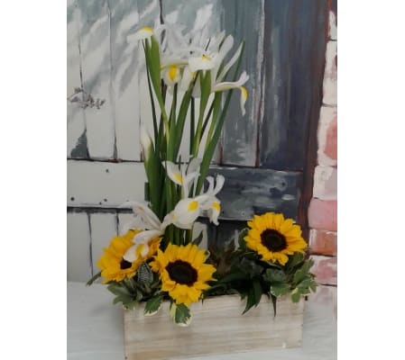 Sunny Summer Box