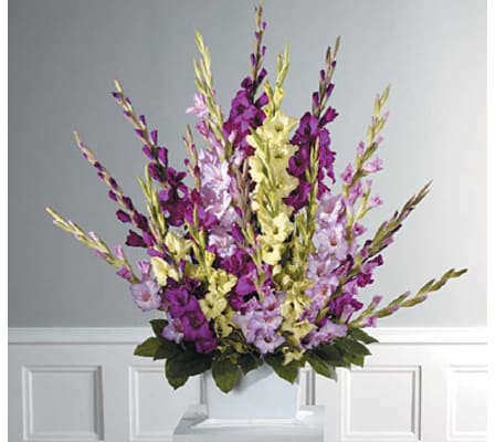 Traditional Purple Gladiolus Spray SF44-21