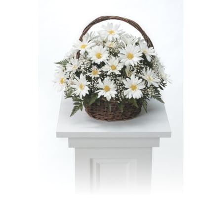 Daisy Arrangwment CTT4-21