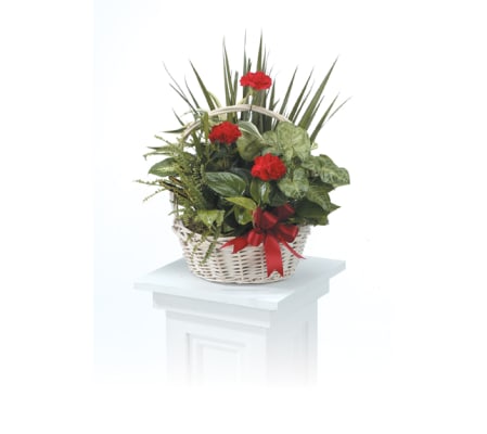 Dishgarden Basket CTT30-11