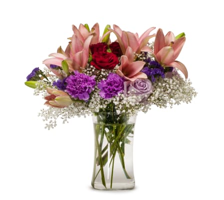 Lily Sensation