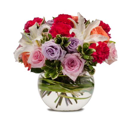 Potpourri of Roses