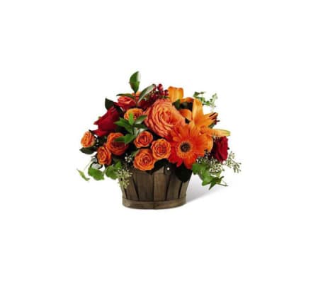 Nature's Bounty Basket