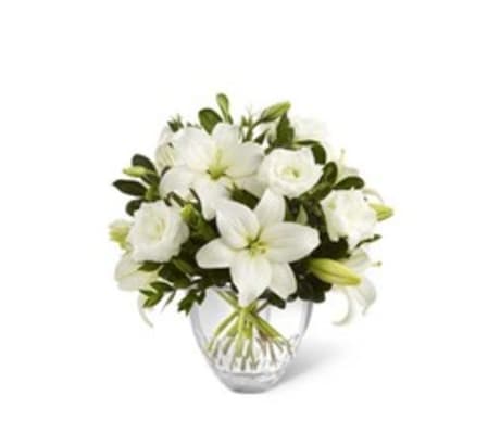 WHITE ELEGANCE