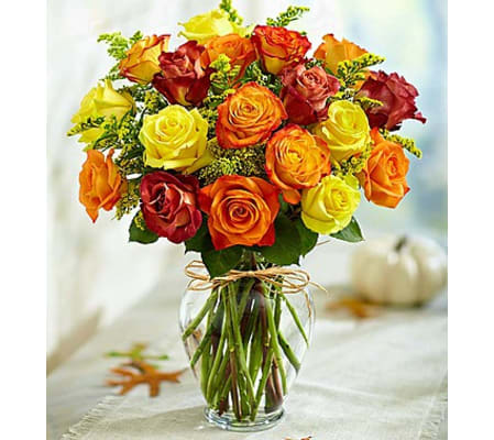 Rose Elegance™ Premium Autumn Roses