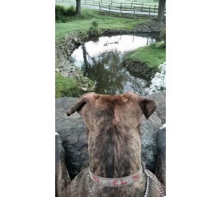 THE KEEN OBSERVER
