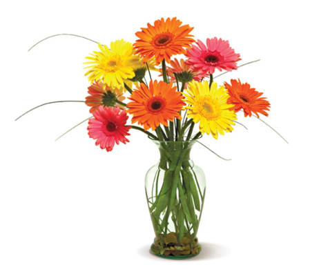 vase of sunshine
