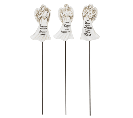 Angel picks
