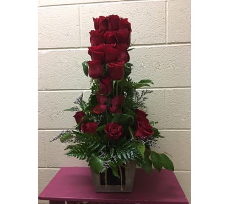 DIVINE ROSES