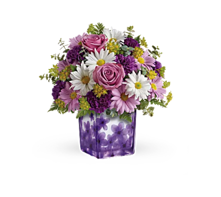 Dancing Violets