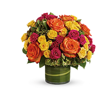 Roses In Vogue