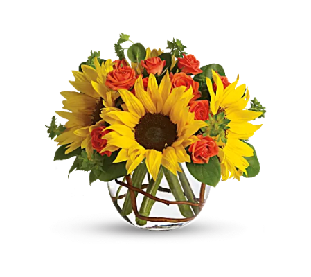 Teleflora - Sunny Sunflowers