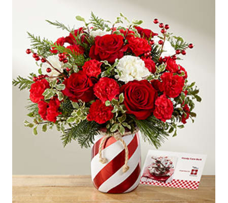 BETTER HOMES AND GARDEN HOLIDAY WISHES