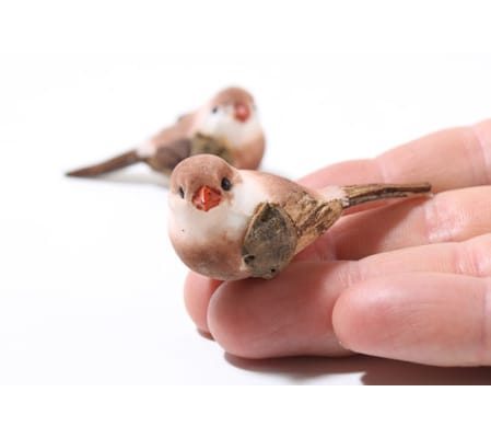 MINI BIRD