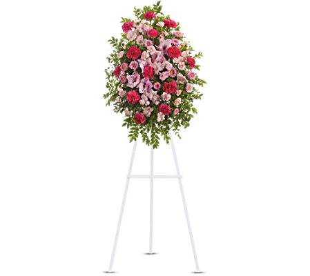 Teleflora - Pink Tribute Spray