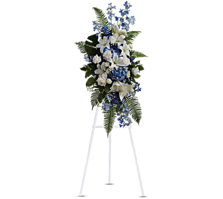 Teleflora - Ocean Breeze Spray