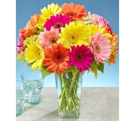 Flowers for us