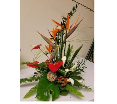 Tropical Splendor
