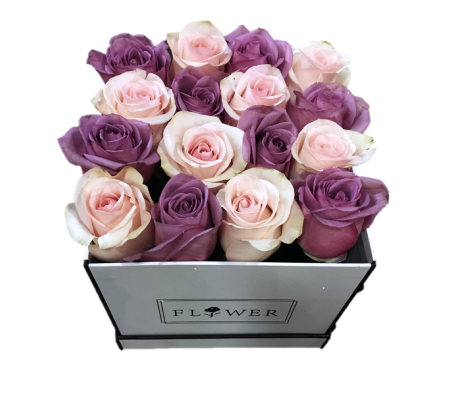 Pink and Purple Haven