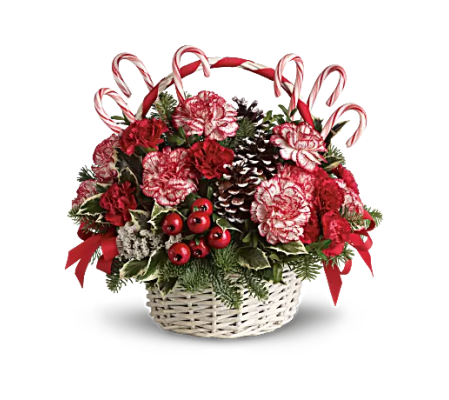 Candy Cane Christmas