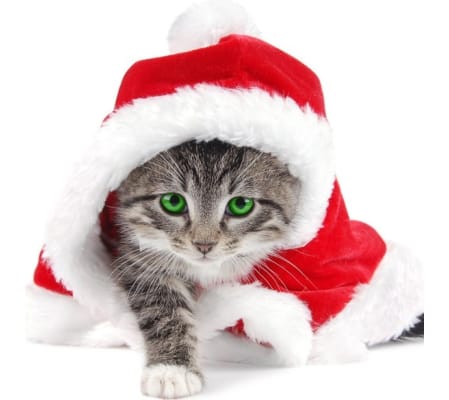 HOLIDAY ARRANGEMENT