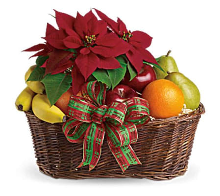 Fruit and Poinsettia Basket