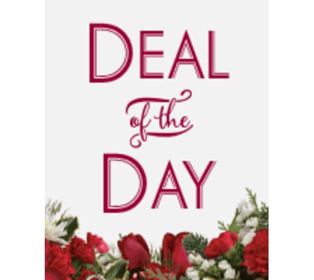 Deal of the DAY Christmas