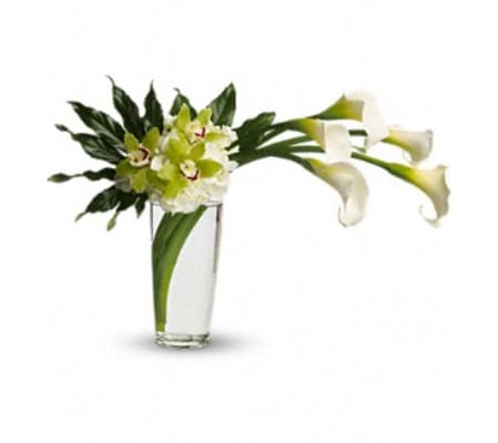 Moondance - by Jennifer's Flowers & Gifts