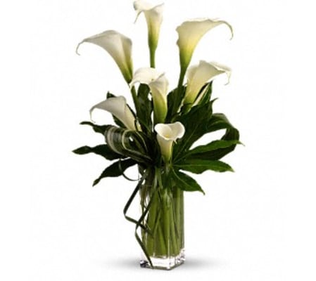 My Fair Lady by Teleflora - by Jennifer's Flowers