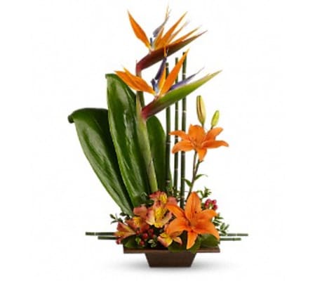 Teleflora's Exotic Grace