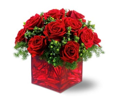 Merry Roses