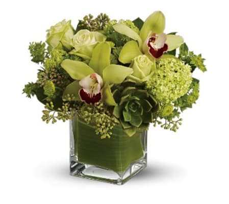 Rainforest Bouquet