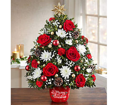 MERRY LITTLE CHRISTMAS