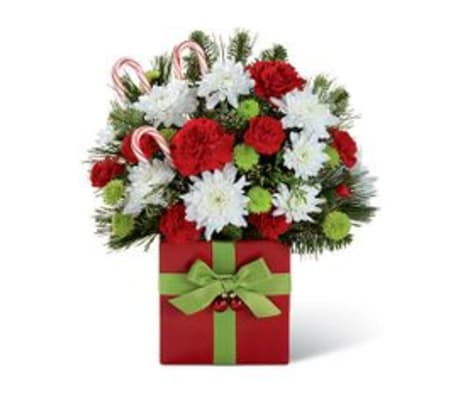 Christmas Tidings