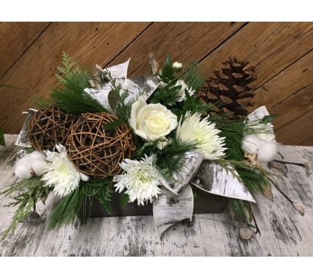 Birch Box