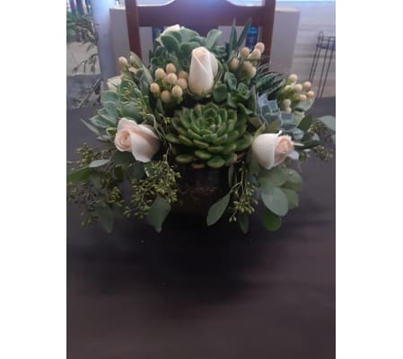succulent arrangement