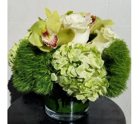 Green Delight