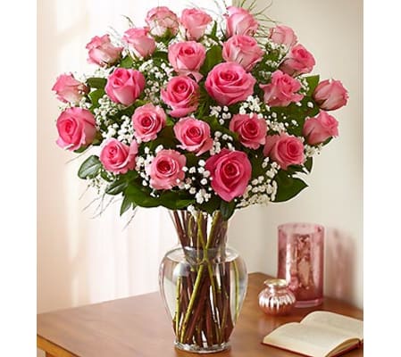 Pink Roses
