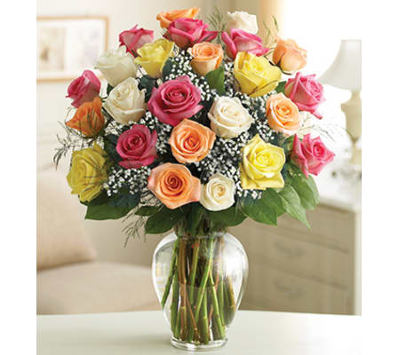 Mixed Colored Roses
