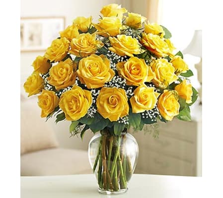 Yellow Roses