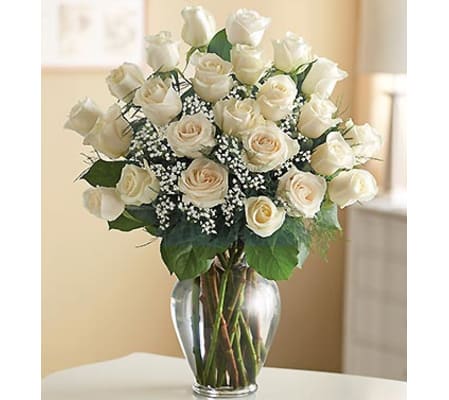 White Roses