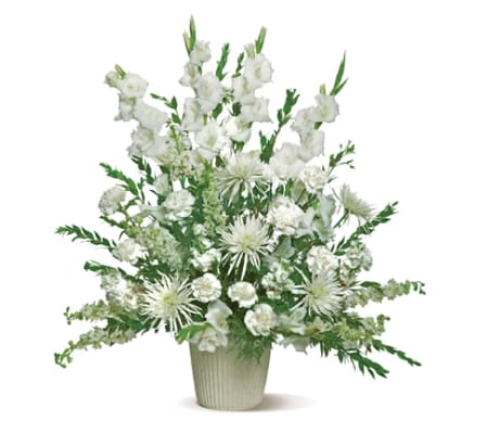 white tribute spray