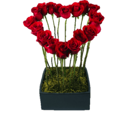 Heart Shape Red Roses