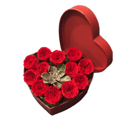 12 Preserved Red Rose Heart Box with Succulent