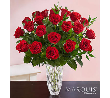 Premium Long Stem Red Roses