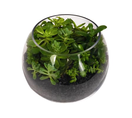 Succulent Terrarium