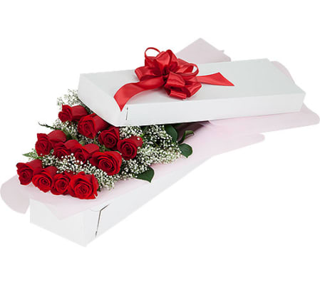 12 Red Roses