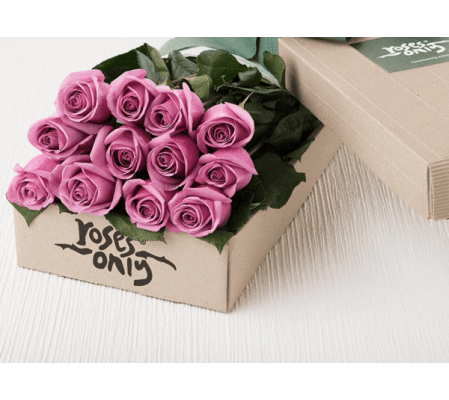 One Dozen Purple Roses
